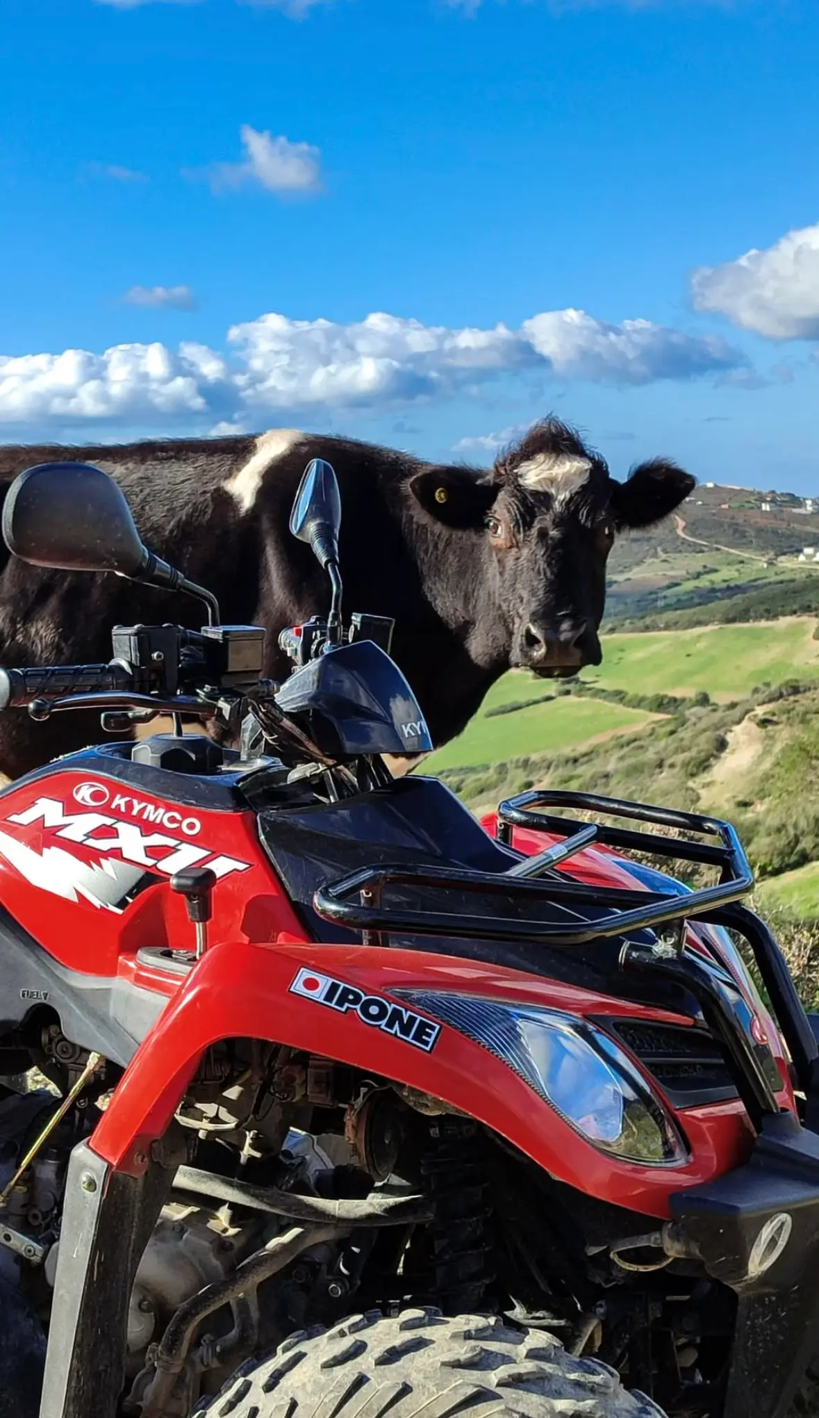 Quad 400cc Melloussa