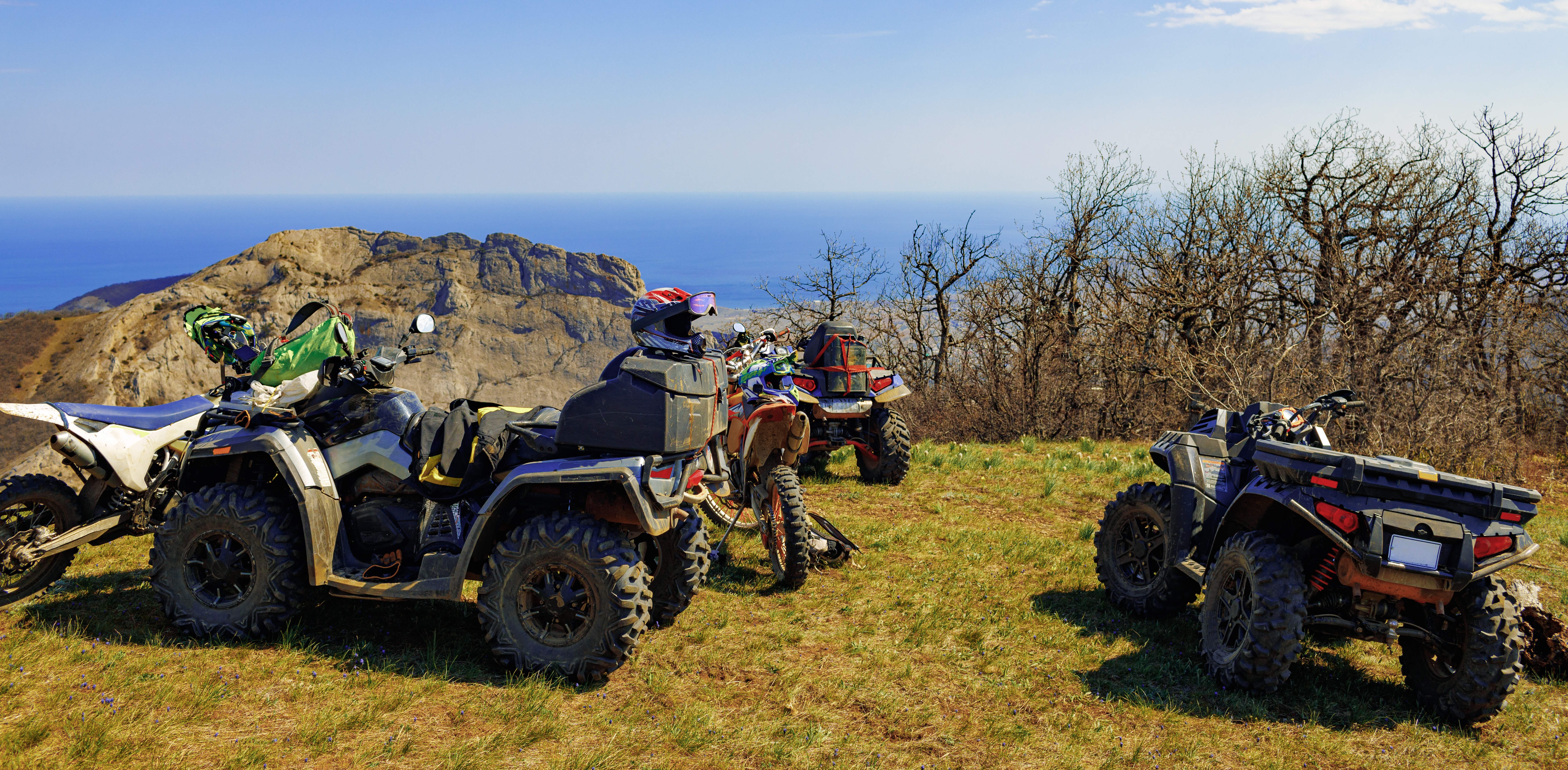 Best Quad Tanger