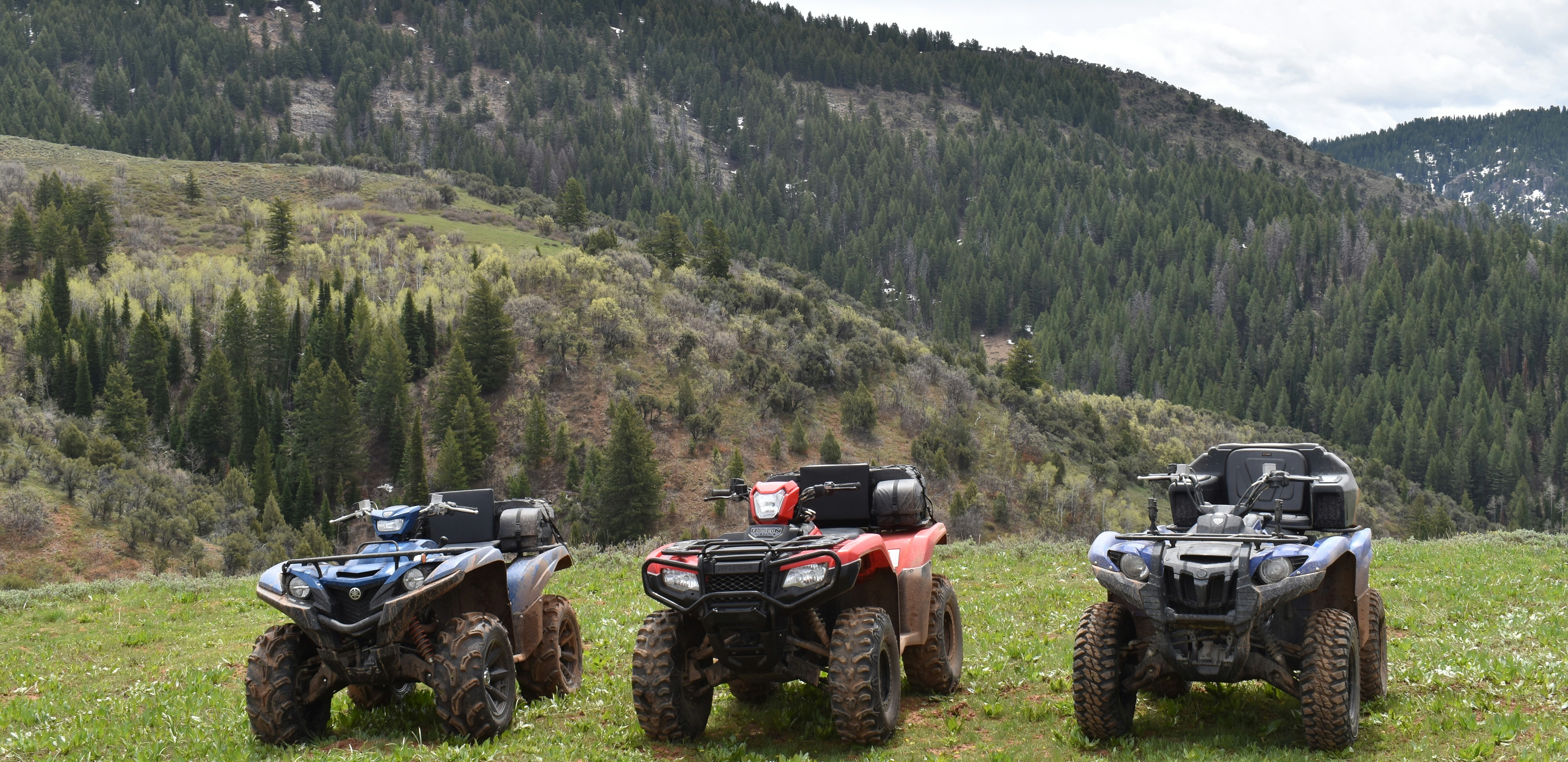 Quad in Tanger